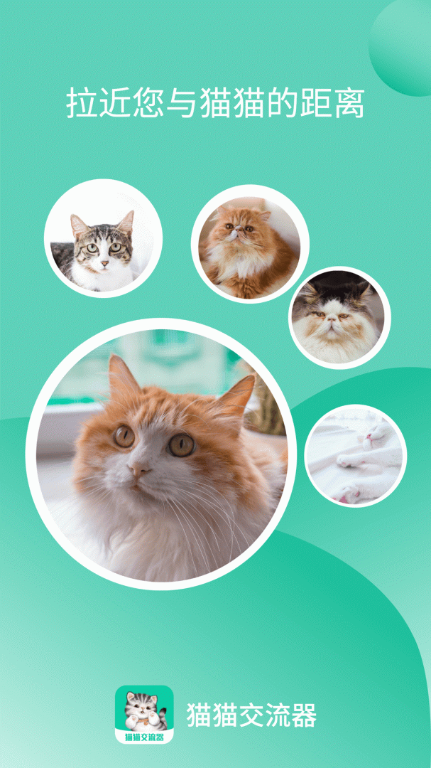 猫猫交流器app