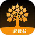 梧桐树下