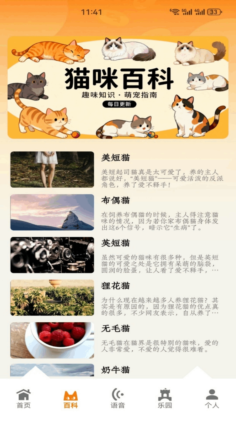 暖暖猫咪app